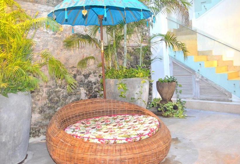 Fotos del hotel Casa Alpha:  14