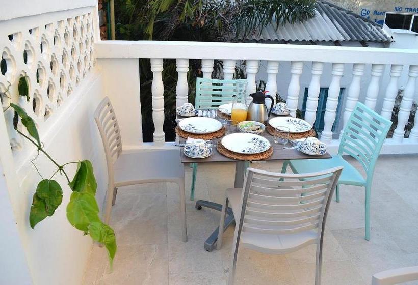 Fotos del hotel Casa Alpha:  10