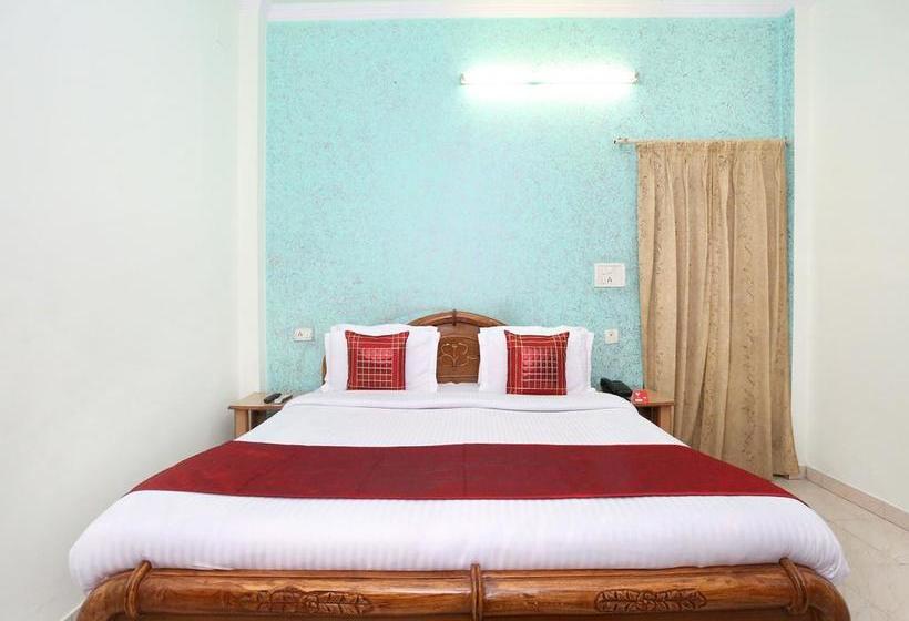 Fotos del hotel Oyo 10539 Hotel Holiday Classic:  16