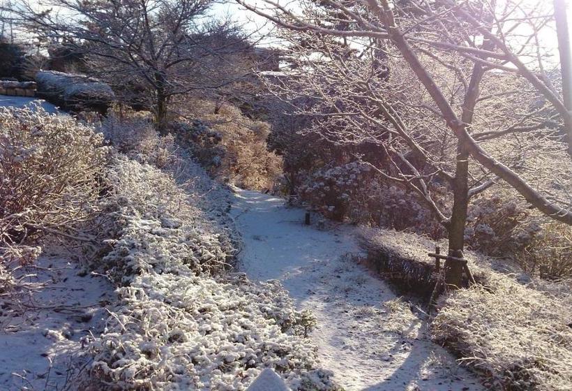Fotos del hotel Grand  Rokko Sky Villa:  3