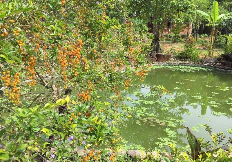 Fotos del hotel Huong Tuan Farmstay:  13
