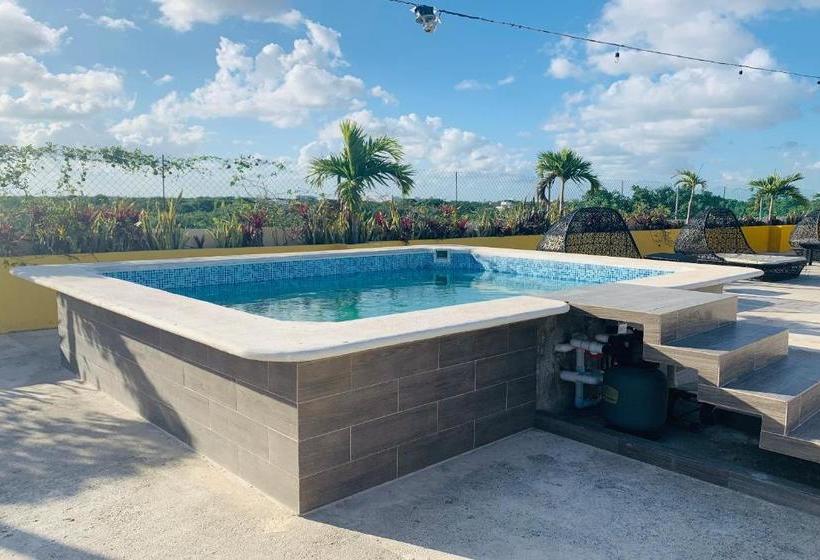 Fotos del hotel Hacienda Madroño Cancùn:  2