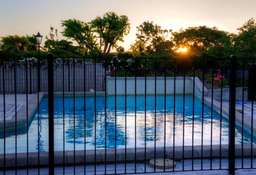 Fotos del hotel Kerry Lodge Bed & Breakfast:  8