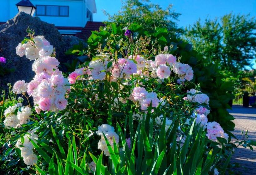 Fotos del hotel Kerry Lodge Bed & Breakfast:  11