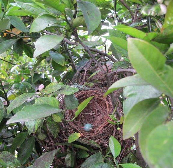 Fotos del hotel Kerry Lodge Bed & Breakfast:  14