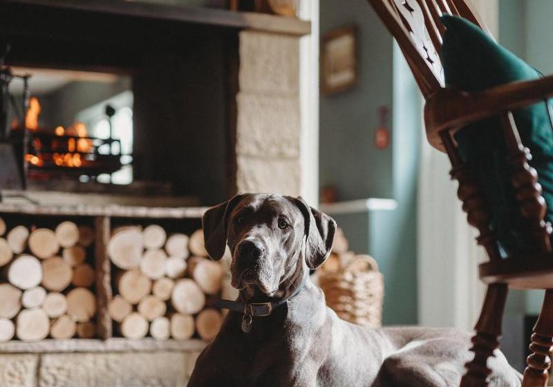 Fotos del hotel The Crown Inn:  3