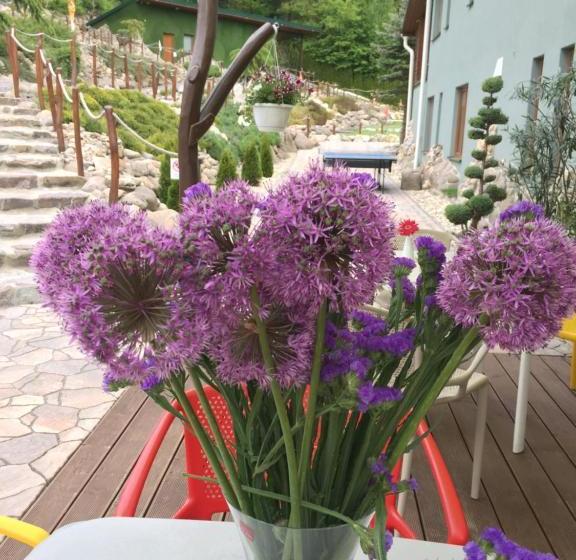 Fotos del hotel Villa 27:  5