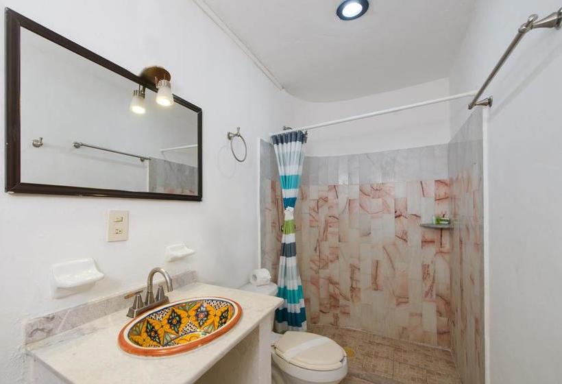 Fotos del hotel Caracol Suite:  11