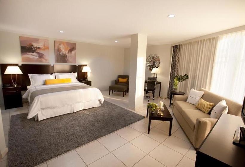 Fotos del hotel Los Andes:  23