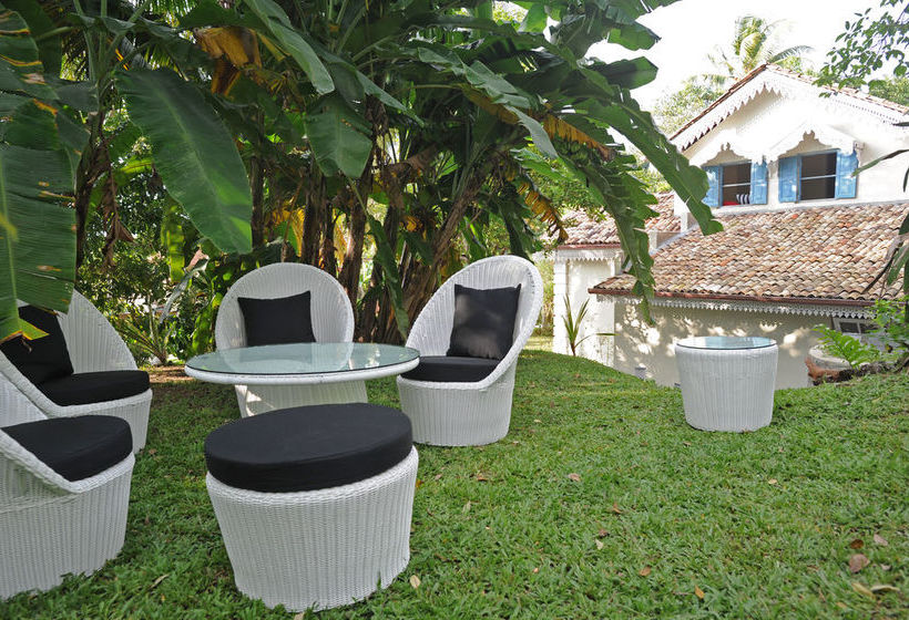 Fotos del hotel Villa Weli:  6