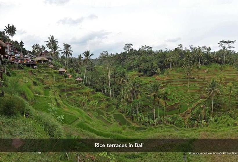 Fotos del hotel Zen Rooms Kuta Jenggala Beach:  24