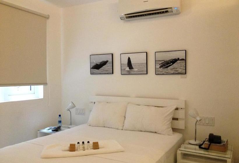 Fotos del hotel Gatto Blanco Party:  23