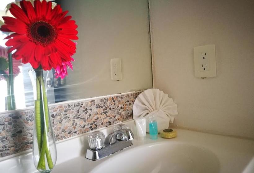 Fotos del hotel Select Inn Quinta Playa Del Carmen:  16