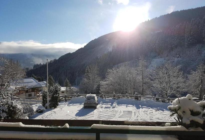 Fotos del hotel Pension Margarete:  5