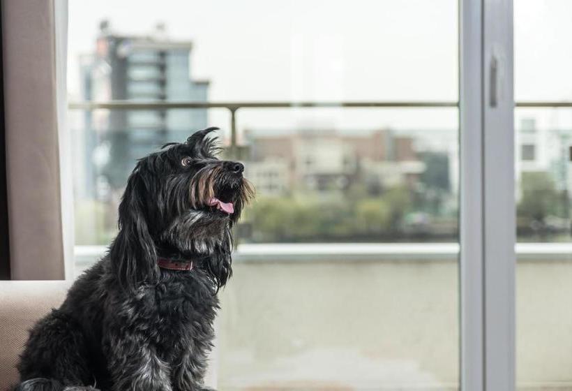 Fotos del hotel Residence Il Lago:  10