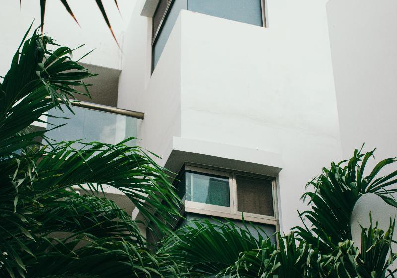 Fotos del hotel Luxury Apartments:  6