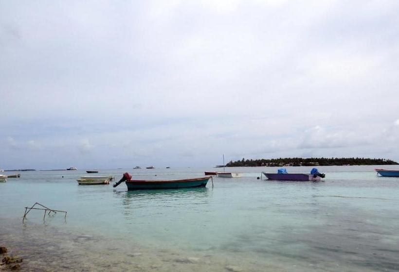 Fotos del hotel Coral Queen Inn:  9