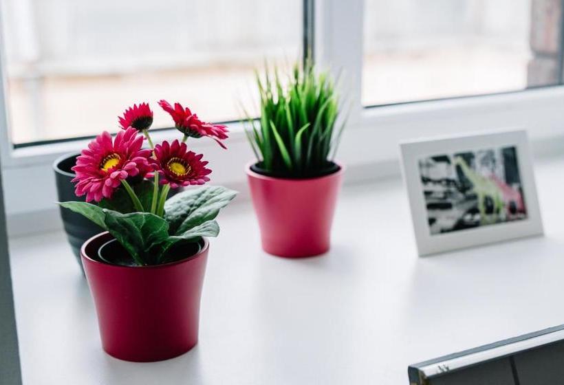 Fotos del hotel Alfred Street Apartment:  13