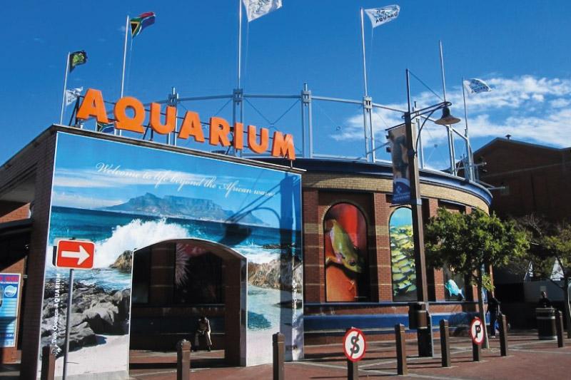 Fotos del hotel V&a Waterfront Village:  8