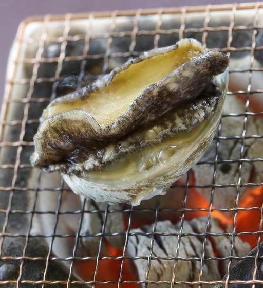 Fotos del hotel Rikyuan:  8