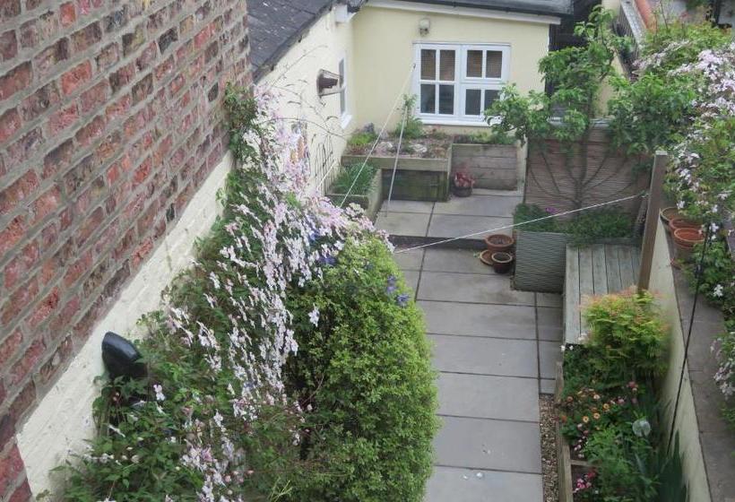 Fotos del hotel Avondale Guest House:  3