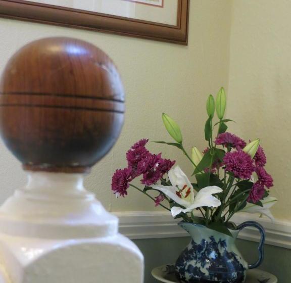 Fotos del hotel Avondale Guest House:  24