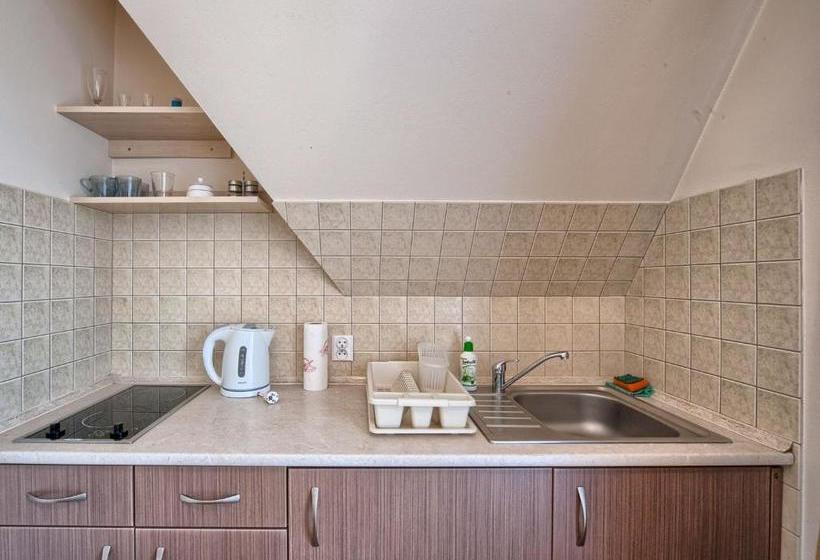 Fotos del hotel Visitzakopane City Apartments:  4