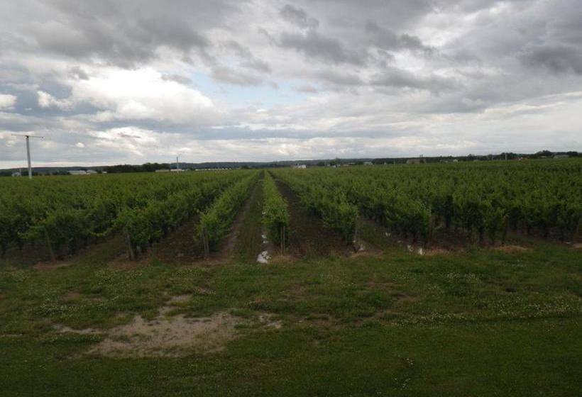 Fotos del hotel A Vineyard View Bed And Breakfast:  6