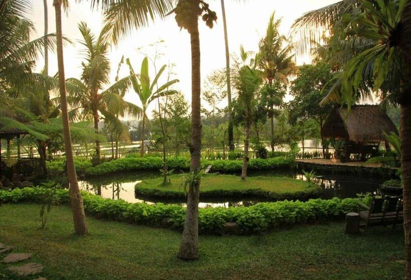 Fotos del hotel Omah Apik:  15