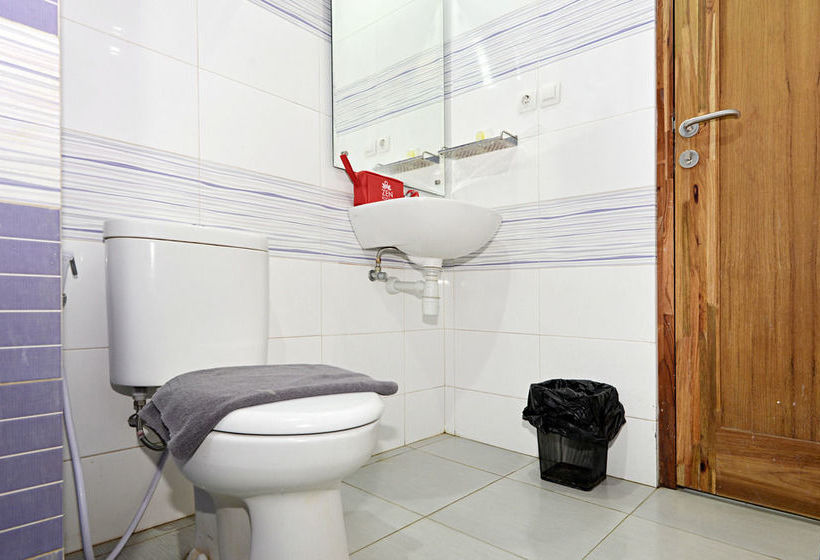 Fotos del hotel Summer Quest:  9