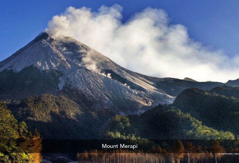 Fotos del hotel Summer Quest:  10