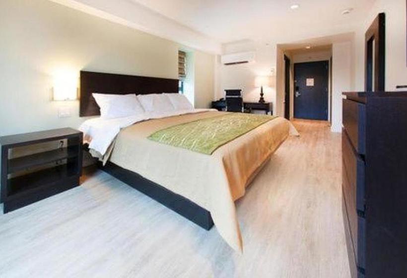 Fotos del hotel Umbrella  Queens Airports:  2