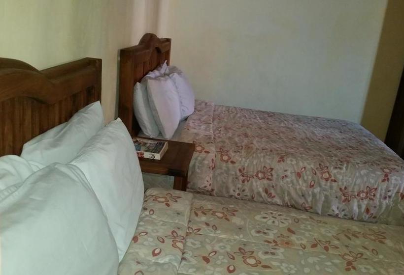 Fotos del hotel Meridano:  16