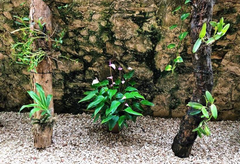 Fotos del hotel Jabin Tulum:  5