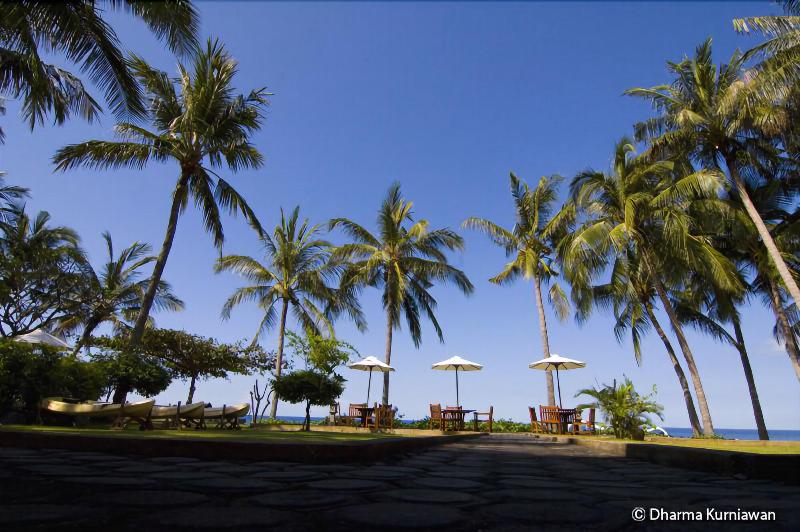 Fotos del hotel Scuba Seraya:  13