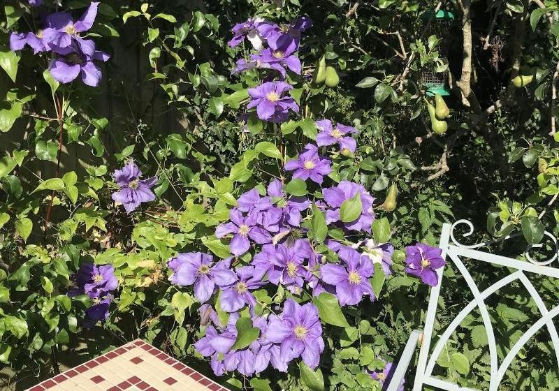 Fotos del hotel Pigeon House Cottage B&b:  8