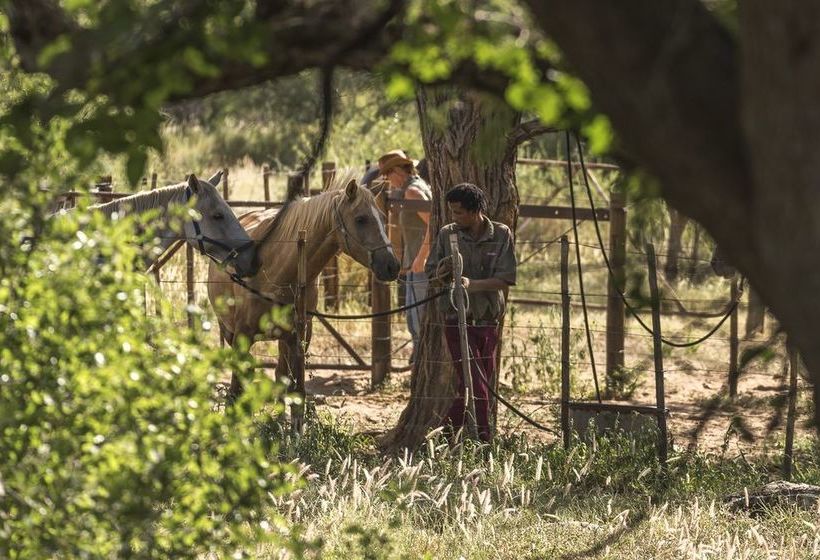 Fotos del hotel Hohewarte Guestfarm:  3