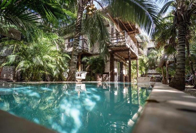 ビュー有りのスタンダードワンルーム, Be Tulum