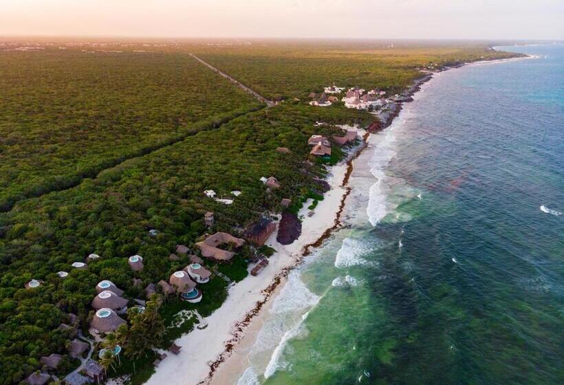ビュー有りのスタンダードワンルーム, Be Tulum