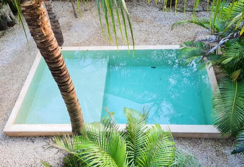 景色の見えるスーペリアルーム, Be Tulum