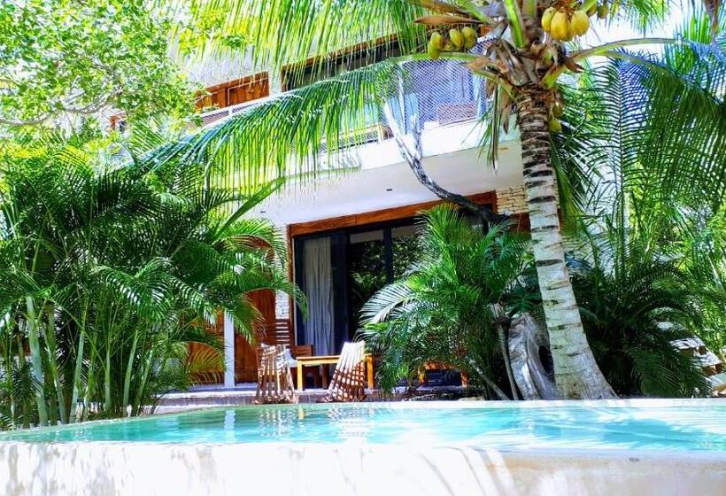 ビュー有りのスタンダードワンルーム, Be Tulum