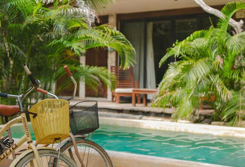 ビュー有りのスタンダードワンルーム, Be Tulum