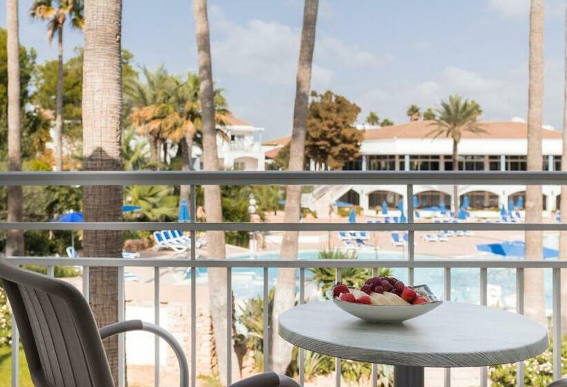 Полулюкс, Sagitario Princesa Playa