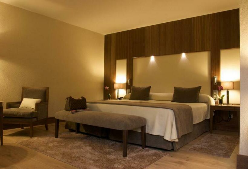 اتاق استاندارد با دسترسی به اسپا, Gran Hotel Balneario De Puente Viesgo