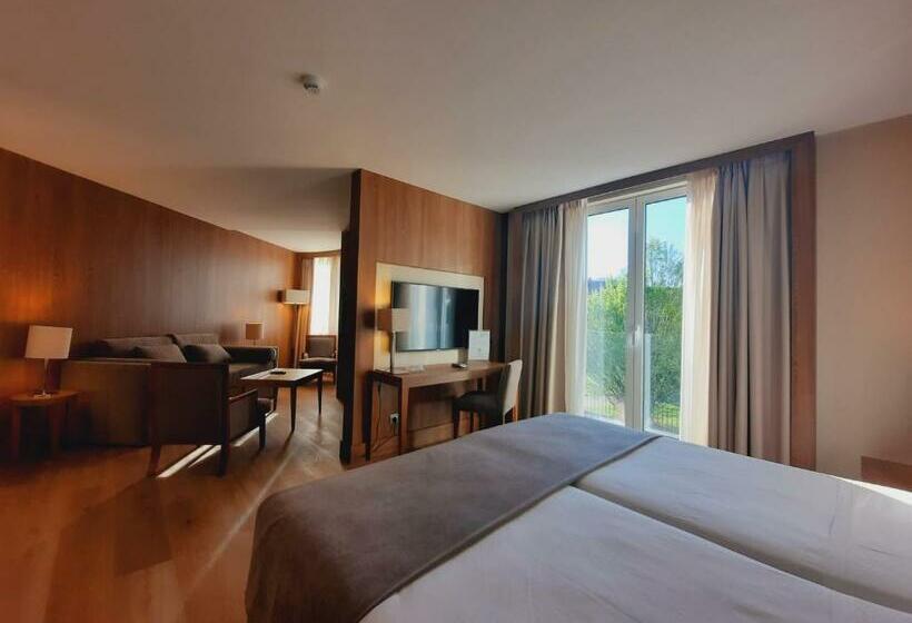 اتاق سوپریور, Gran Hotel Balneario De Puente Viesgo