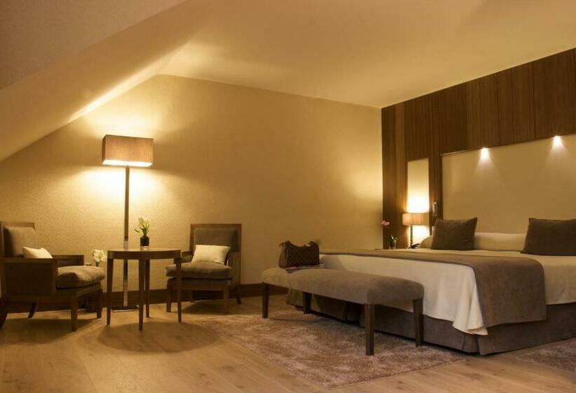 اتاق سوپریور, Gran Hotel Balneario De Puente Viesgo