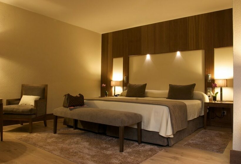 اتاق سوپریور, Gran Hotel Balneario De Puente Viesgo