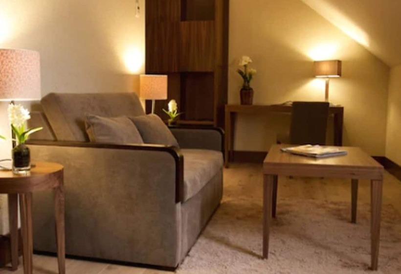 اتاق استاندارد یک نفره, Gran Hotel Balneario De Puente Viesgo