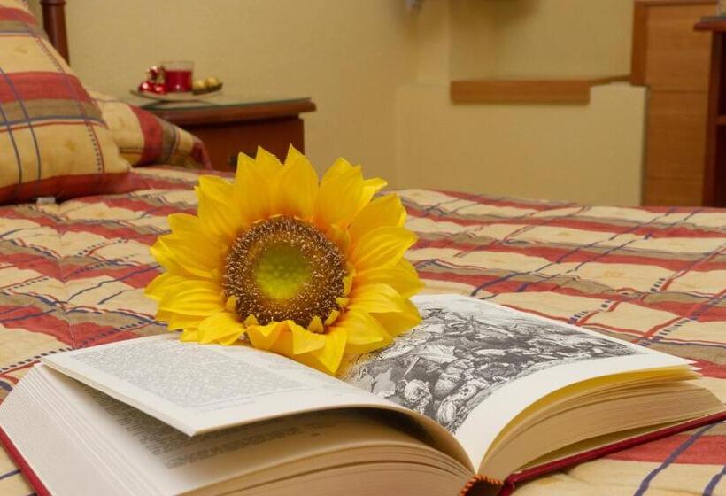 Номер Стандарт, Hostal Siete Picos