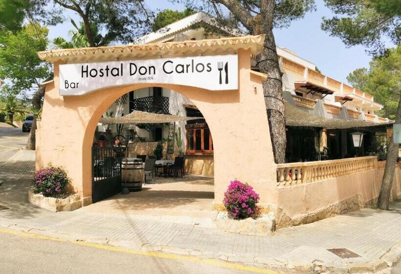스탠다드 싱글 룸, Don Carlos